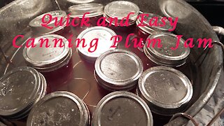 Quick and Easy Plum Jam VERY easy