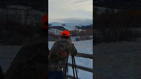 300 Weatherby Magnum on a Whitetail!
