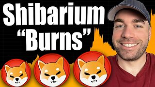 SHIBA INU COIN - Shibarium Burns & Defi Future Growth Potential!