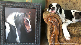 Great Danes Supervise as Artist Lawrence Dyer Paints an Antique Frame