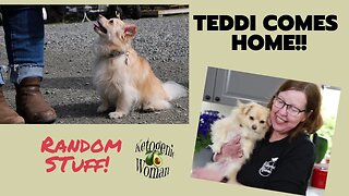 Teddi Comes Home! I Random Q&A | Superior Canine Training Graduate!