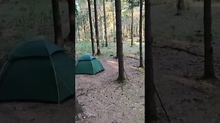 naturehike cloud peak 2 woodland wildcamping