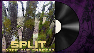 Split - Enter the Forrest [Chilled Dubstep]