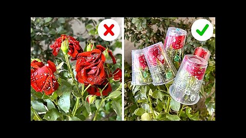 Tried-and-True Gardening Hacks that Actually Work 🌿🌹