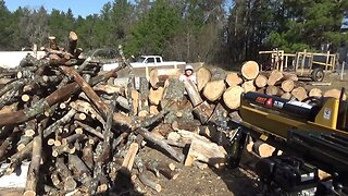 Hauling In Huge Amounts Of Firewood For Free