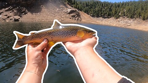 Spring Colorado Trout Fishing is Heating Up, Epic 50 + Fish Day!
