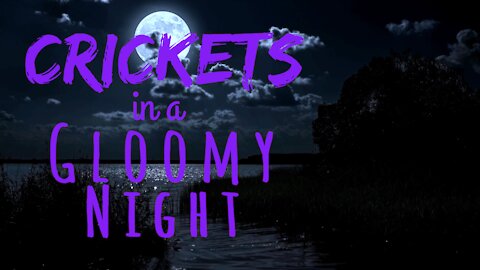 Crickets in a Gloomy Night | Crickets at Night | Ambient Sound | What Else Is There?