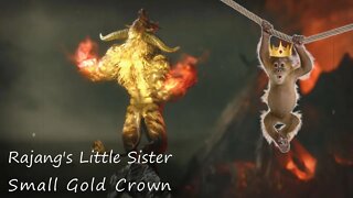 Fighting Rajang's Little Sister [Small Gold Crown] | Insect Glaive | Monster Hunter Rise