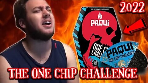 The PAQUi One Chip Challenge 2022 - NEVER AGAIN