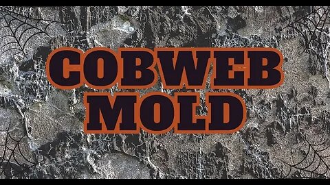 Cobweb Mold Introduction