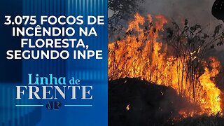 Recorde negativo: Queimadas na Amazônia tem pior junho em 16 anos | LINHA DE FRENTE