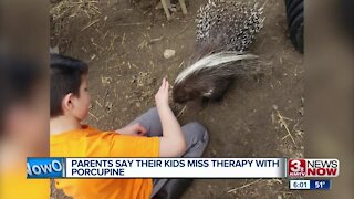 Parents say their kids miss therapy with porcupine