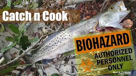 Infected Florida River Fish can Kill me? {Catch and Cook}