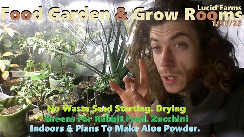 Seed Starting. Greens For Rabbits. Zucchini Indoors & Aloe Powder. 1/30/22 Food Garden & Grow Rooms.