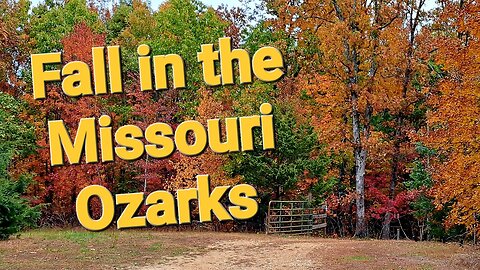 Colors of Autumn In The Ozarks from my eyes 🧡❤️💛💚🤎