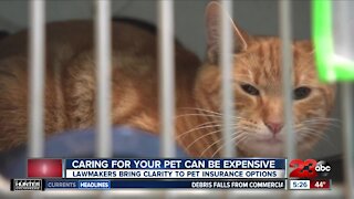 Caring for your pet can be expensive, lawmakers bring clarity to pet insurance options