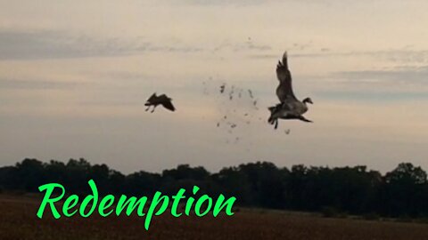 Redemption!! Early Season Goose Hunt 2021