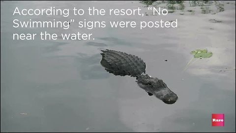 Alligator attacks toddler at Disney World | Rare News