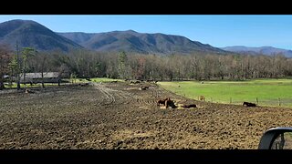 Cades Cove Slide Show