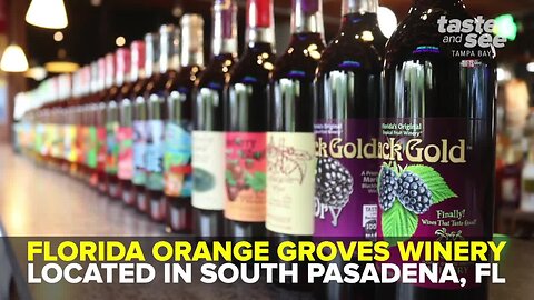 Florida Orange Groves Winery sells 100% tropical, citrus and berry wines | Taste and See Tampa Bay