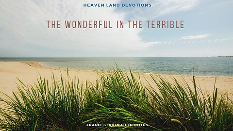 Heaven Land Devotions - The Wonderful In The Terrible