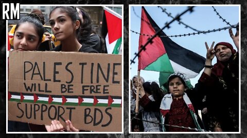 How Western "Democracies" Try to Silence BDS | ft. Stanley Cohen
