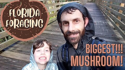 Naturevore: FLORIDA FORAGING Walk #6 (Nov. 13): BIGGEST MUSHROOM We've Ever Found & More!! EUREKA!