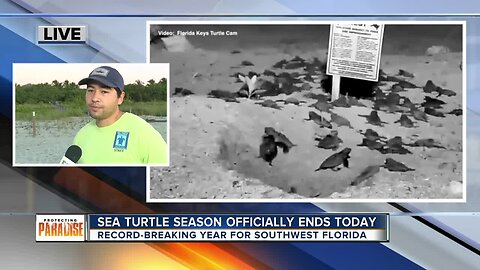 Conservation experts speak on red tide sea turtle research