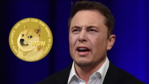Elon Musk Twitter Spaces Live #dogecoin #mattwallace