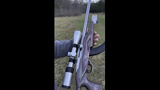 Ruger 10/22 Custom