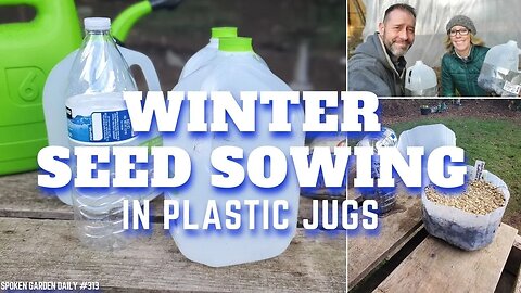 🌱❄ Winter Seed Sowing in Plastic Bottles - SGD 313 ❄🌱