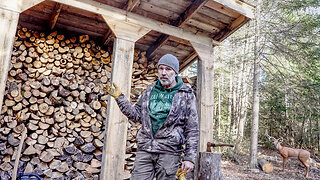 Managing My Forest for Firewood