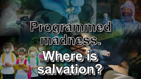 Programmed madness. Where is salvation?