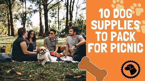 10 Dog Supplies To Pack For A Day At The Park | DOG PRODUCTS 🐶 #BrooklynsCorner