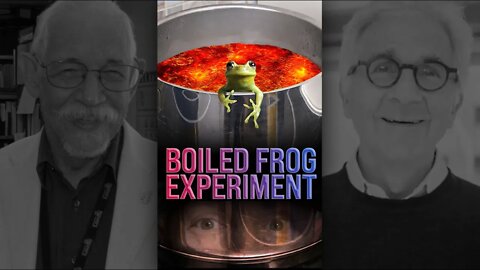 The Boiled Frog Experiment 🐸 #shorts