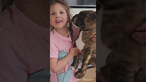 Mom Gets Daughter a Plushie to Treasure Her Dog's