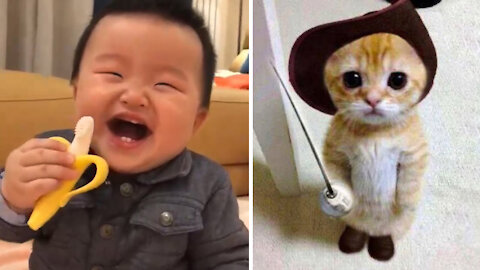 Funny Babies Reaction & Cat So Cute Videos ⚡ OMG So Cute