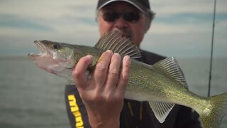 MidWest Outdoors TV Show #1673 - Walleye from Lake Sakakawea with the Skinzit Crew