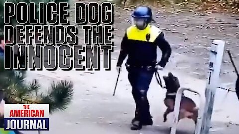 Police Dog Defends Protestors From Vaccine Police