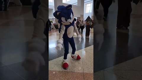 Sonic the Hedgehog | Gotta Go Fast