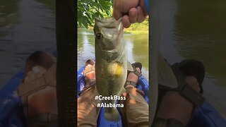 Creek Bass!!