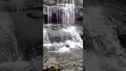 Slow motion reverse jump #waterfall #reversemoviefx #badlapur #trending #youtube #youtubegrowth