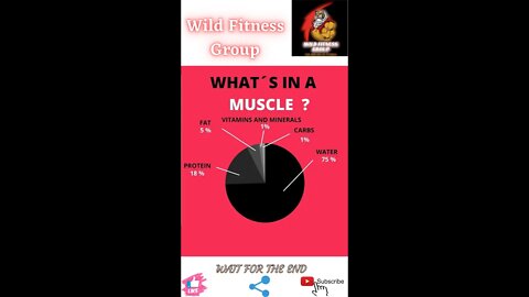 🔥What's in a muscle🔥#shorts🔥#viralshorts🔥#fitnessshorts🔥#wildfitnessgroup🔥