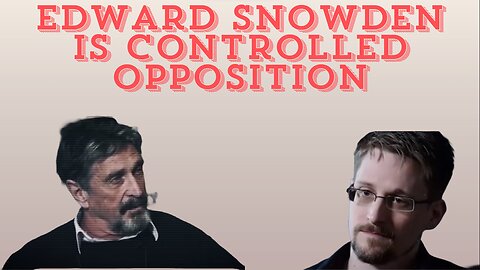 John McAfee Says Edward Snowden Is a Mainstream Media Puppet