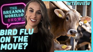 Labs in U.S., Germany and Canada to Infect Cows with H5N1 Influenza Virus - JD Rucker