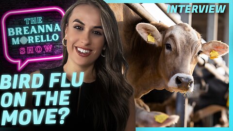 Labs in U.S., Germany and Canada to Infect Cows with H5N1 Influenza Virus - JD Rucker