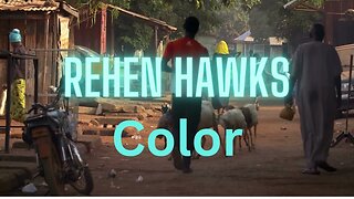 BRAND NEW TRACK - ReHen Hawks - Color (Test) Sample