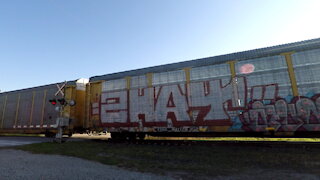 Manifest Train Westbound CN 8805, CN 2687 & CN 2246 Locomotives In Ontario