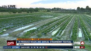 31 Produce holds 2nd annual Strawberry Festival in Alva