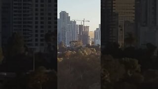 View of Downtown Construction From Cabrillo Bridge in Balboa Park